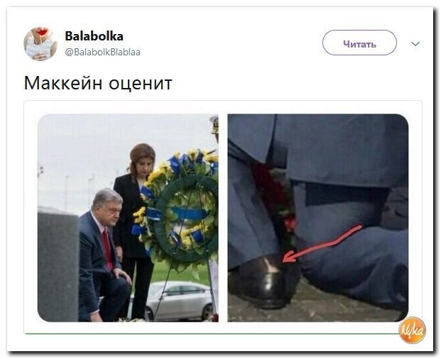 Политические коментарии соцстей - 597