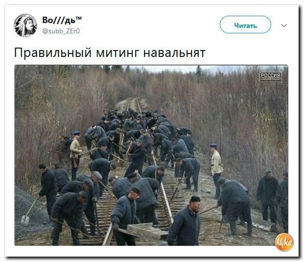 Политические коментарии соцстей - 597