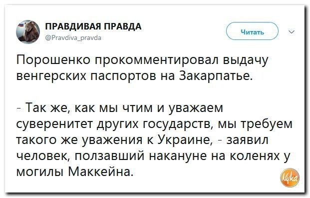 Политические коментарии соцстей - 597