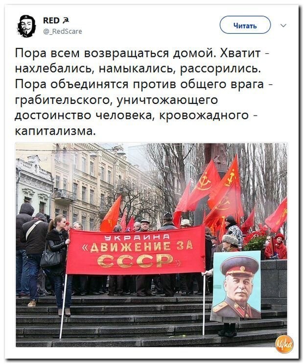 Политические коментарии соцстей - 597