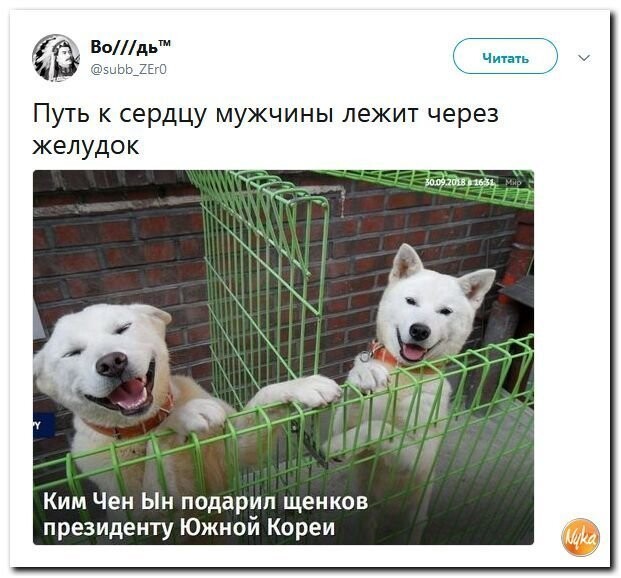 Политические коментарии соцстей - 598