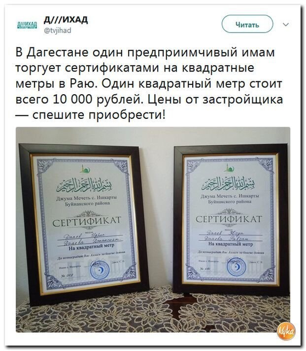 Политические коментарии соцстей - 598