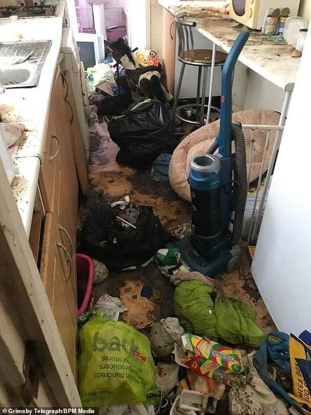 Шокированный арендодатель поделился фотографиями адского беспорядка, оставленного жильцами