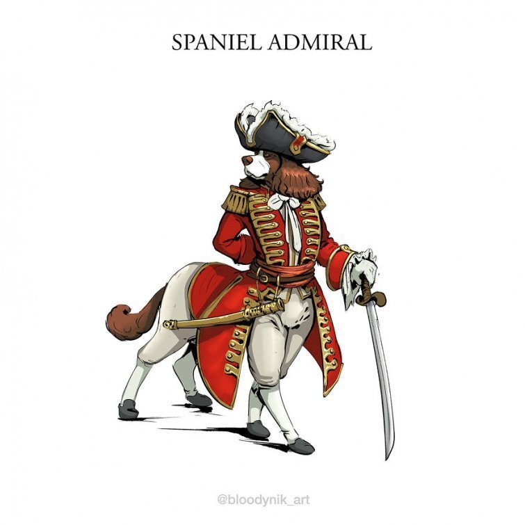 Спаниель-адмирал