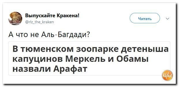 Политические коментарии соцстей - 599