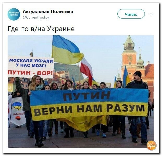 Политические коментарии соцстей - 599