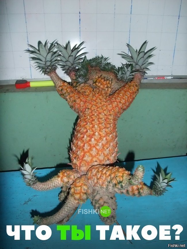 Что ты такое