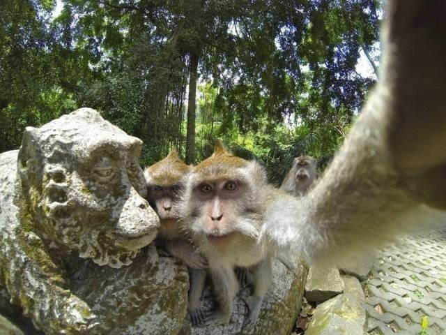 Подборка прикольных фотографий