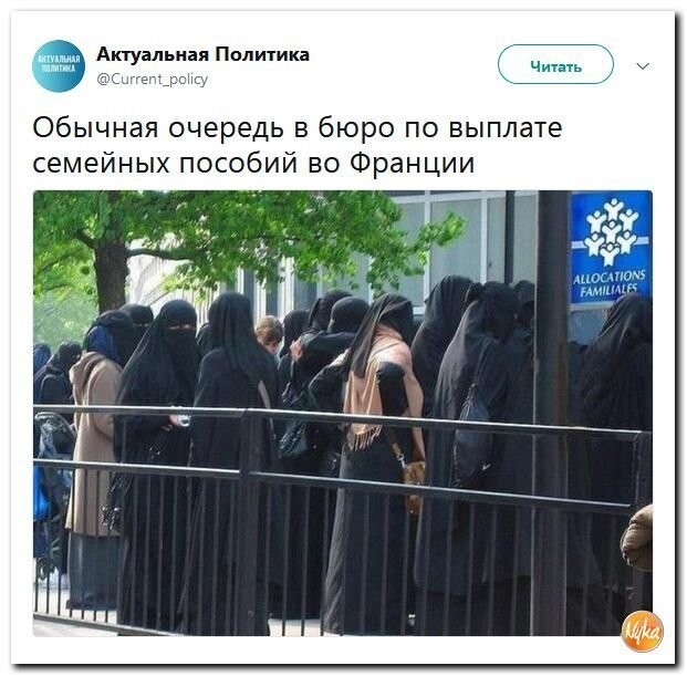Политические коментарии соцстей - 601