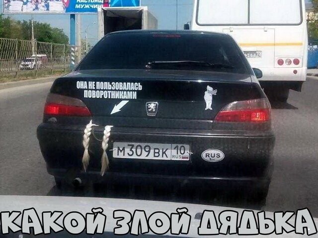 Автовсячина