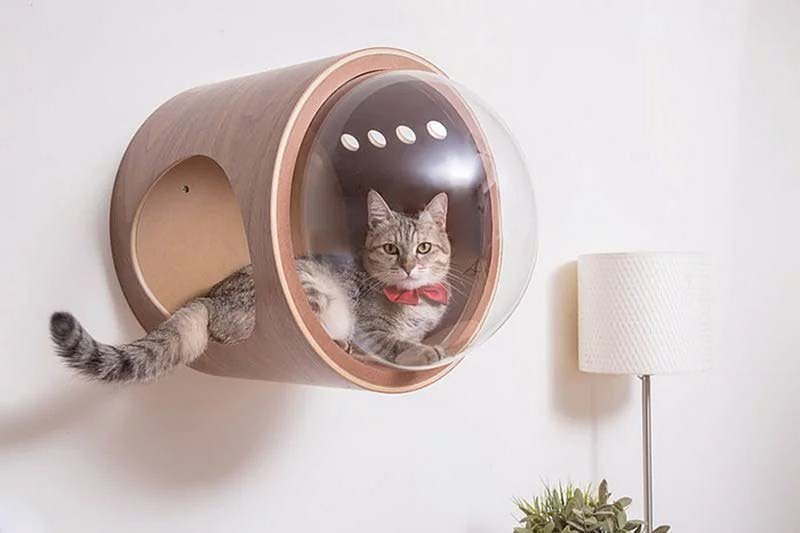 Дизайнерская компания MyZoo Studio выпустила межгалактическую линию кошачьих кроваток под названием «The Spaceship Series»