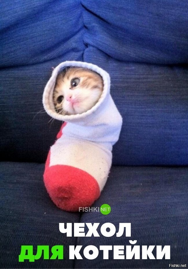 Чехол для кота