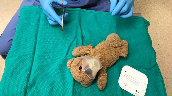 Мишка "спасен"! В Канаде нейрохирург сделал операцию игрушке