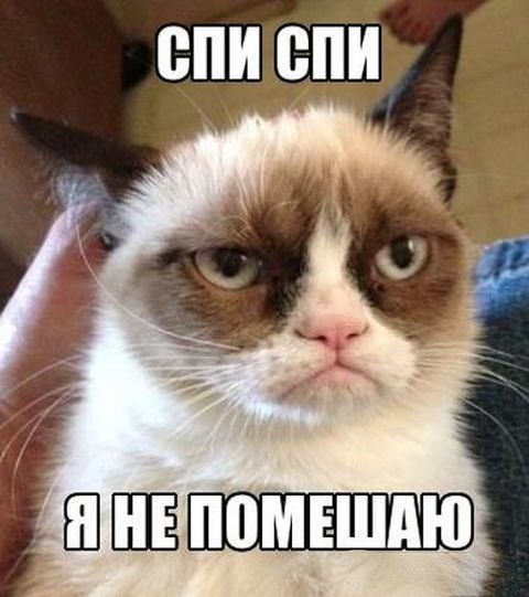 Субботний котопост