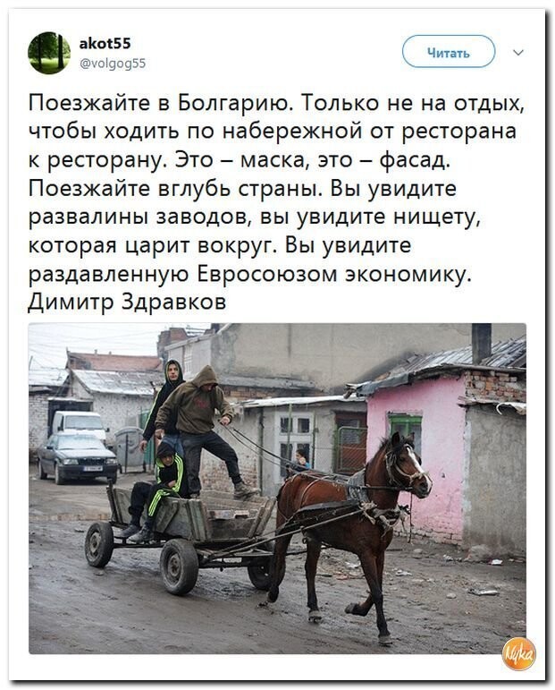 Политические коментарии соцстей - 603