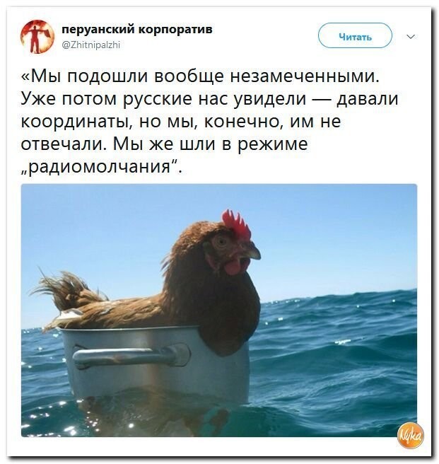 Политические коментарии соцстей - 603