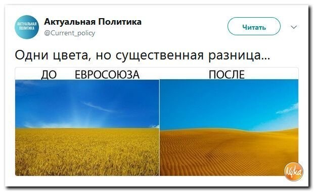 Политические коментарии соцстей - 603