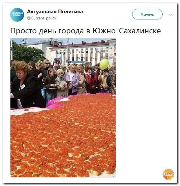 Политические коментарии соцстей - 603