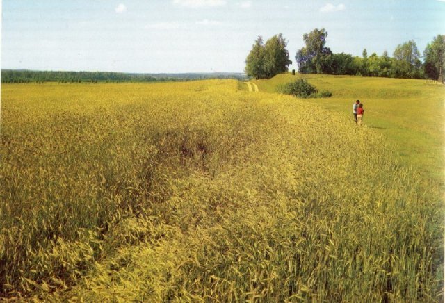 На Бородинском поле, 1970-е