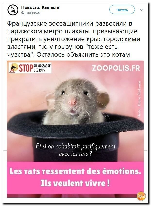 Политические комментарии соцсетей - 605