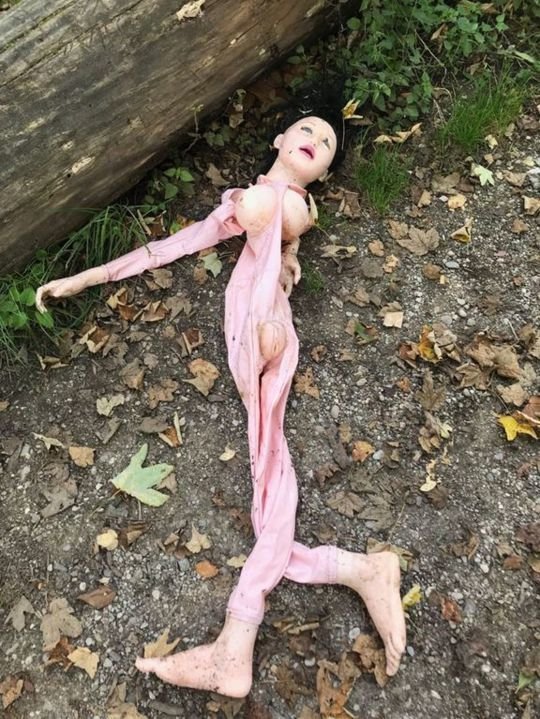 Секс-куклу приняли за труп и вызвали полицию