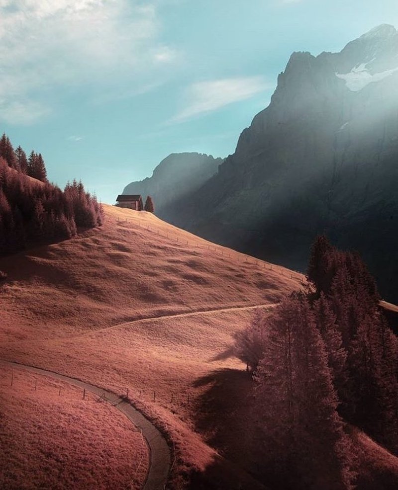 Инфракрасная фотография: когда обычные пейзажи превращаются в инопланетные