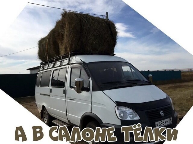 Автовсячина