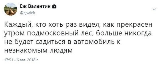 Комментарии, соцсети и другие приколы