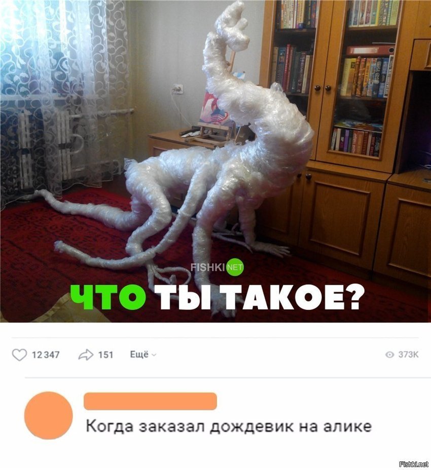 Что ты такое ?