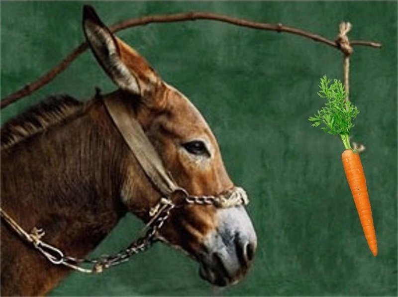 Великий миф о Большой Капиталистической Морковке