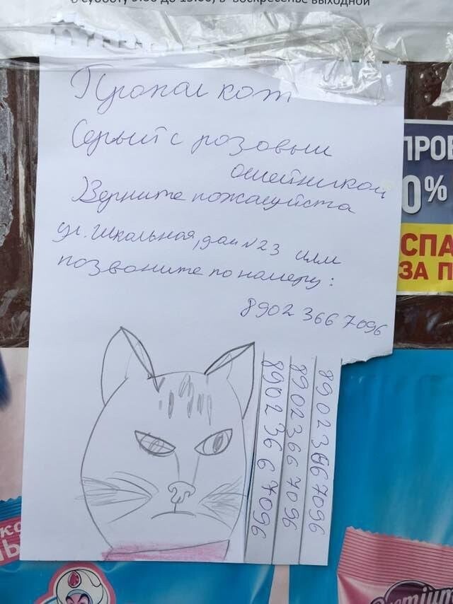 Картинки, которые нужно читать