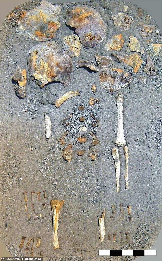 У жертв Везувия взрывались черепа: ученые выяснили, как умирали жители Геркуланума