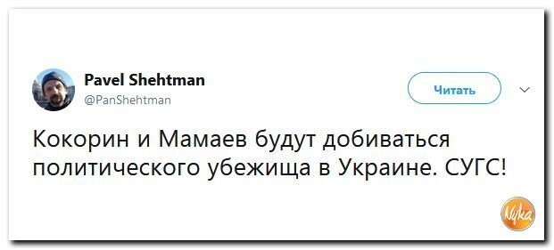 Политические комментарии соцсетей - 608