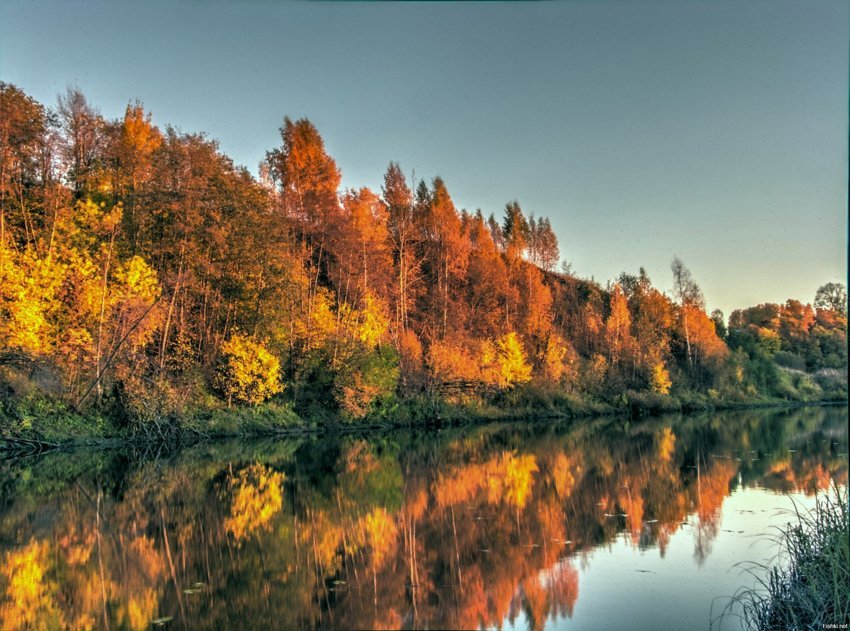 Сфотал сегодня на рыбалке