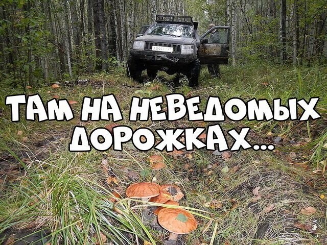 Автовсячина