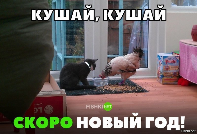 Откармливает