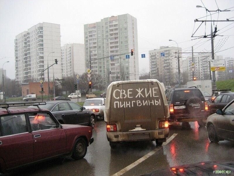 Машины с прекрасным чувством юмора на дорогах России. Смешные надписи на авто