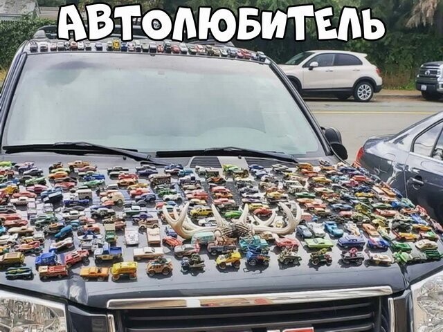 Автовсячина