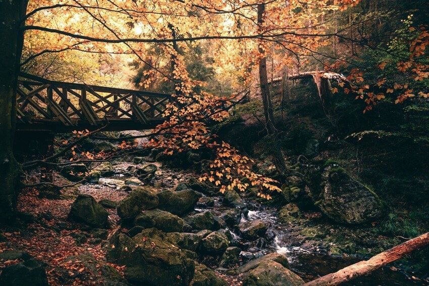 Осень в немецком лесу