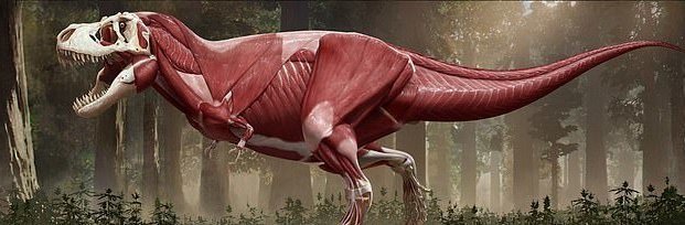 Ученые выяснили, как на самом деле выглядел тираннозавр