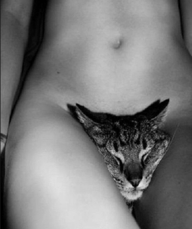 7. Модель Victoria’s Secret Кэндис Свейнпол сделала пикантное фото со своим котом