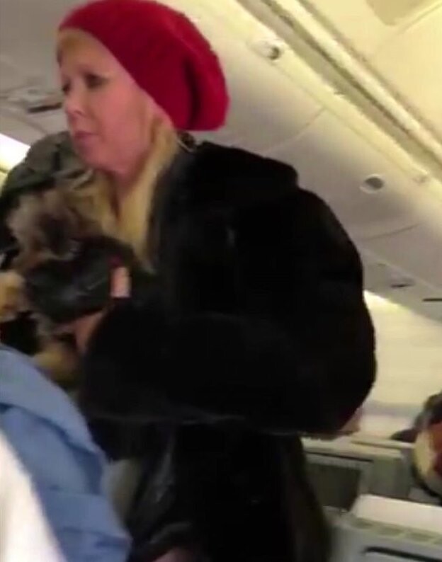 Поменяйте мне место: актрису из "Американского пирога" сняли с рейса из-за перепалки со стюардами
