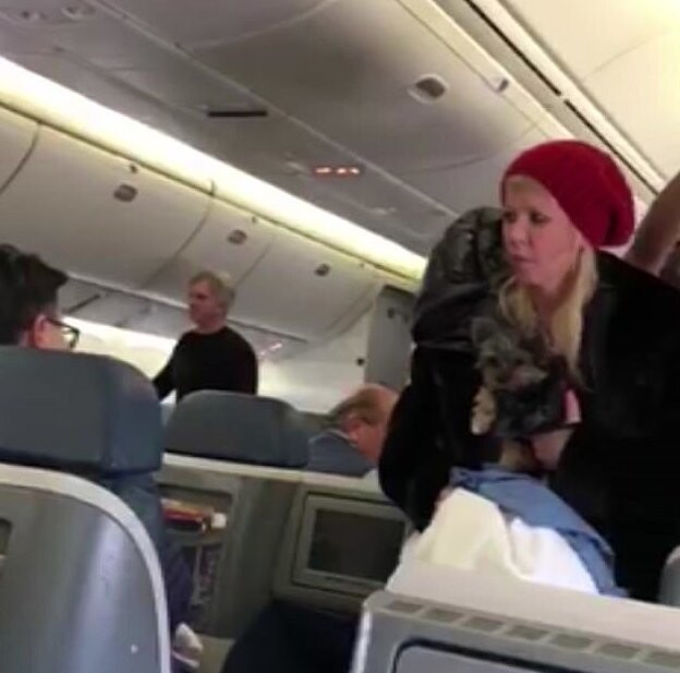 Поменяйте мне место: актрису из "Американского пирога" сняли с рейса из-за перепалки со стюардами