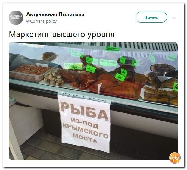 Политические коментарии соцстей - 615
