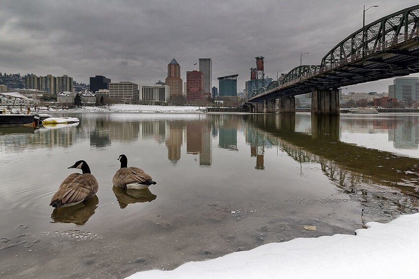 Along the banks