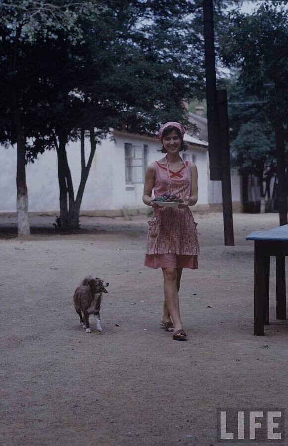 Будни советской молодёжи в цветных фотографиях 1960-х годов