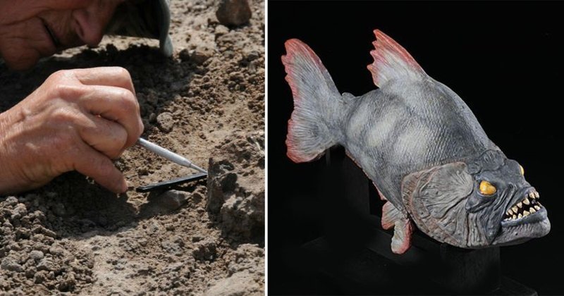 В Германии найдены останки пираньи, пожиравшей динозавров