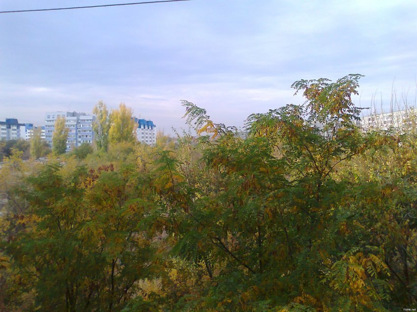 Октябрьский вид из моего окна