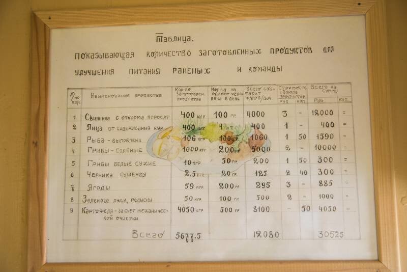 Составы жизни. Санитарные поезда НКПС