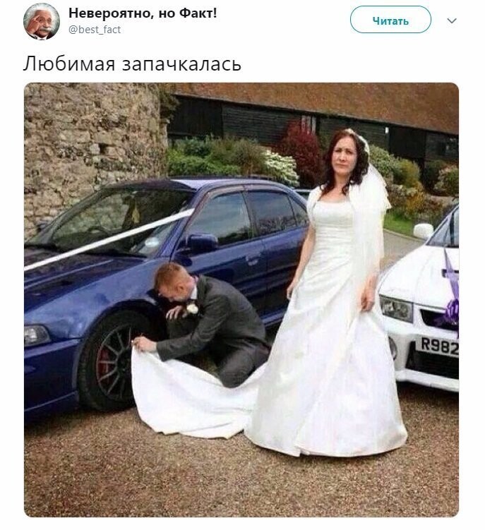 Политические коментарии соцстей - 619